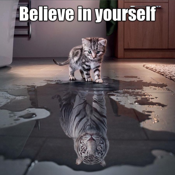 [Image: cat-humor-believe-in-yourself-kitten-tiger.jpg]