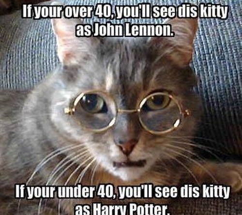 Age test - Cat humor