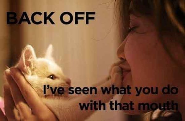 Back Off! - Cat humor