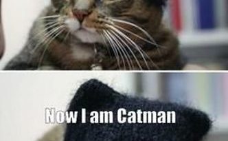 Catman - Cat humor