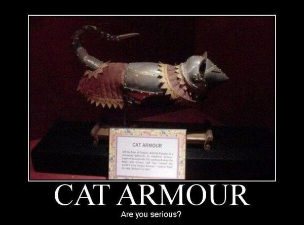 Cat armour - Cat humor
