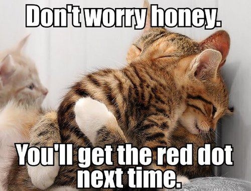 Don't Worry Honey - Cat humor
