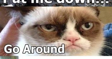 Grumpy Cat Pilot - Cat humor