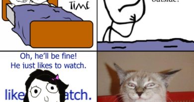 He Just Likes To Watch - Cat humor