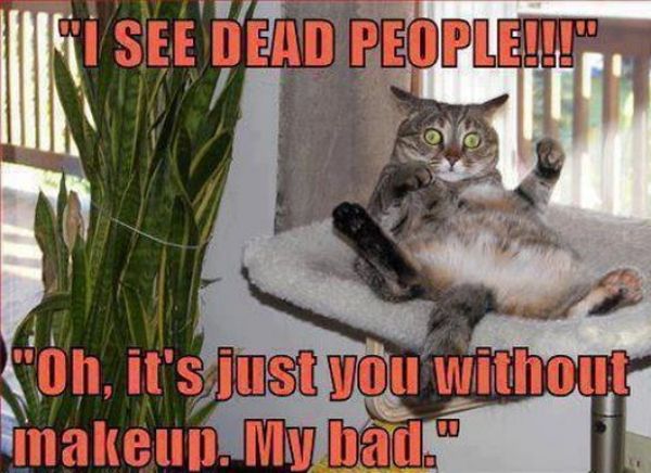 I See Dead People - Cat humor