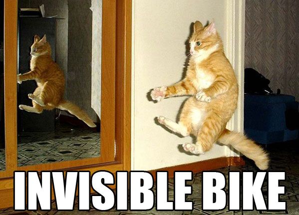 Invisible Bike - Cat humor