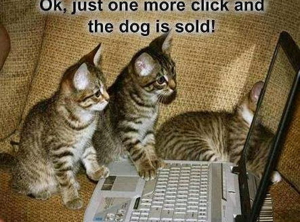 Just One More Click - Cat humor
