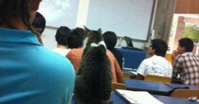 Lecture 1 - World Domination - Cat humor