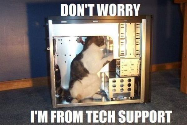 Don't Worry - Cat humor