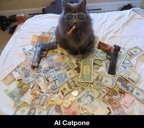 Al Catpone - Cat humor