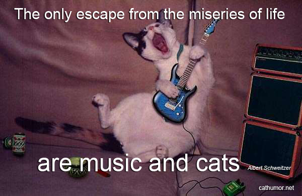 Escape From The Miseries Of Life - Cat humor