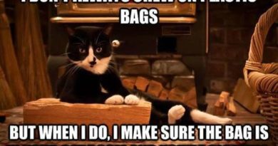 I Don't Always Chew On Plastic Bags - Cat humor