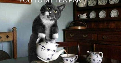 Tea party - Cat humor