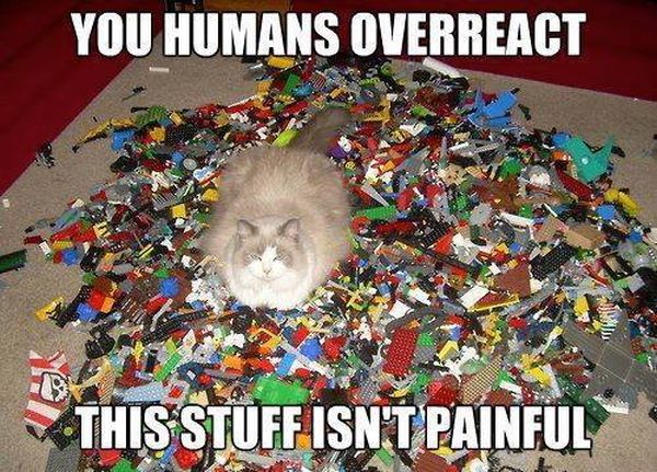 You Humans Overreact - Cat humor