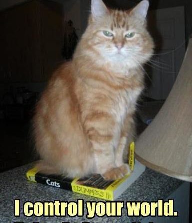 I Control Your World - Cat Humor