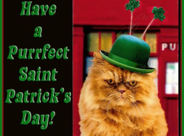 Have A Purrfect Saint Patrick's Day - Cat humor