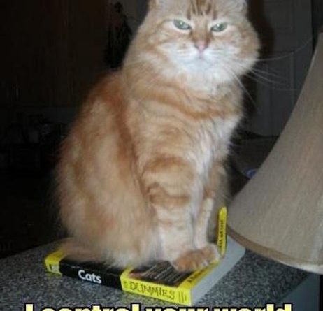 Cats For Dummies - Cat humor