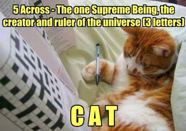 Supreme Being - Three Letters - Cat humor