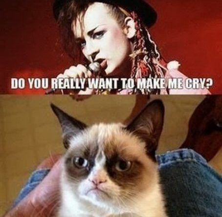 Do You really Want To Hurt Me - Cat humor