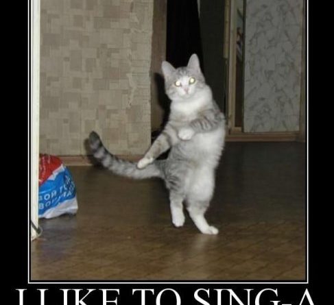 I Like To Sing-a - Cat Humor