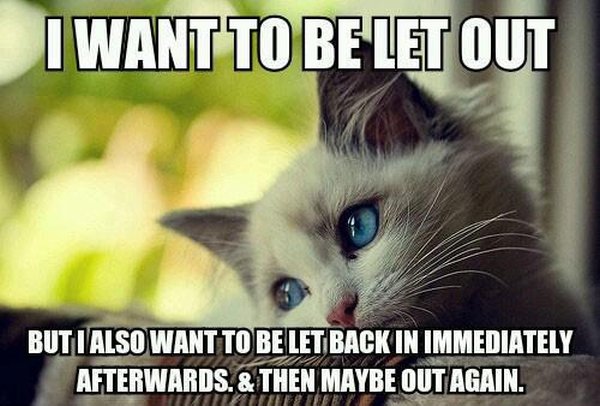 I Want To Be Let Out But... - Cat humor