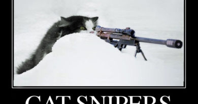 Cat Snipers - Cat humor
