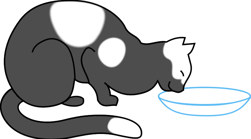 Cat eating - Cat Humor