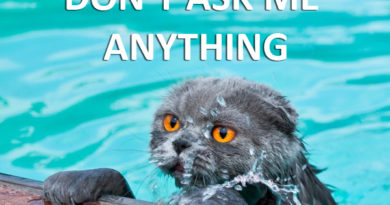 Don't Ask Me Anything - Cat humor