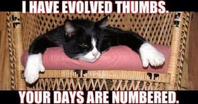 I Have Evolved Thumbs - Cat humor
