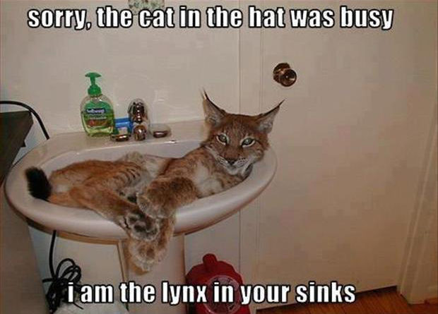 Sorry, The Cat In The Hat Was Busy - Cat humor