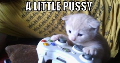 Gamer Kitty - Cat humor