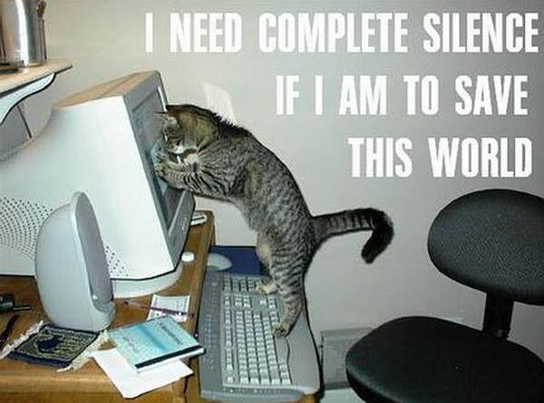 I Need Complete Silence - Cat humor