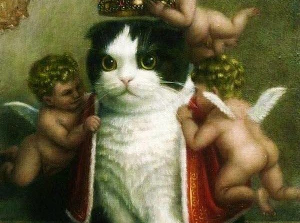 King Of The Internet - Cat humor