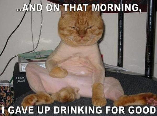 And On That Morning - Cat humor