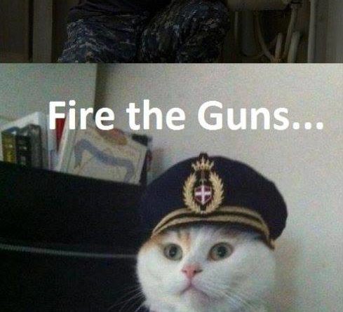 Cat Commander - Cat humor