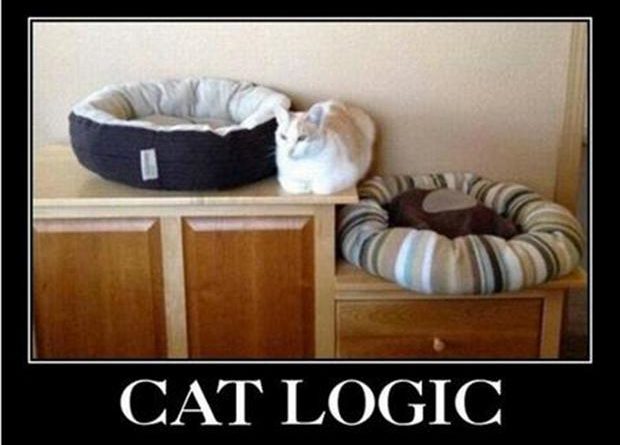 Cat Logic - Cat humor