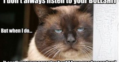 I Don't Always Listen To Your Bulshit - Cat humor