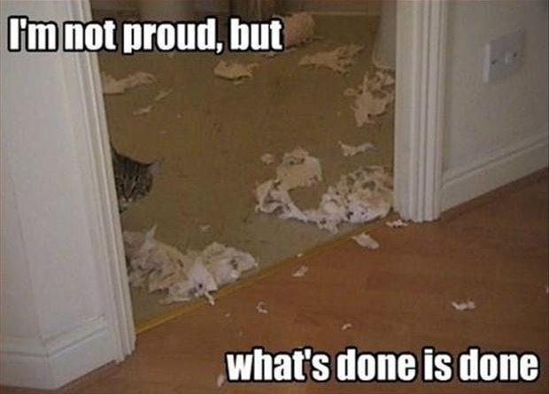 I'm Not Proud, But... - Dog humor