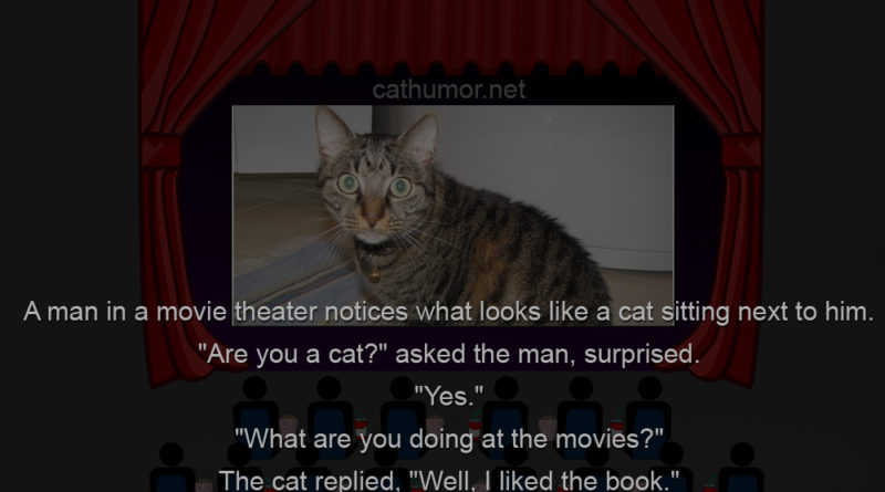 Meanwhile In Movie Theater - Cat humor