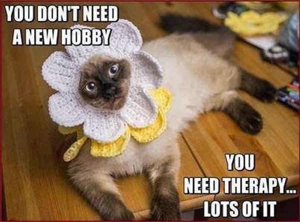 You Don't Need A New Hobby - Cat humor