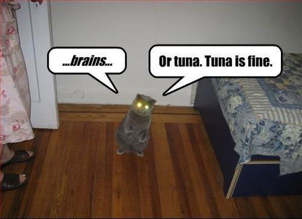 Zombie Cat - Cat humor