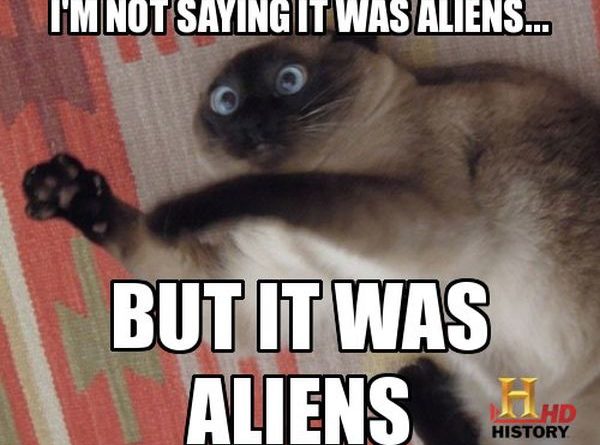 Conspiracy - Cat humor