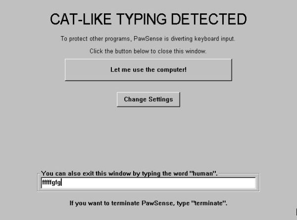 Cat-Like Typing Detected - Cat humor