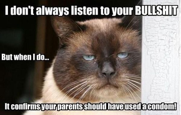 I Don't Always Listen To Your Bullshit - Cat humor