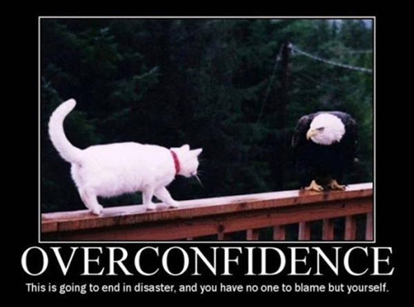 Overconfidence - Cat humor