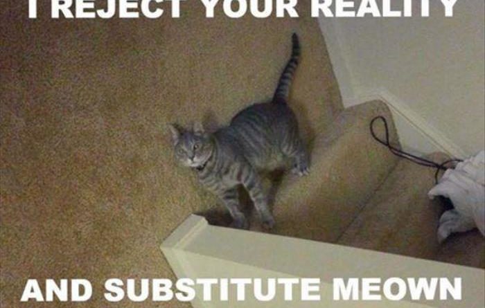 I Reject Your Reality - Cat humor