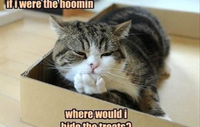 Let Me Think... - Cat humor