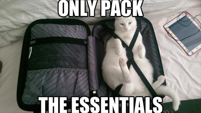 Only Pack The Essentials - Cat humor
