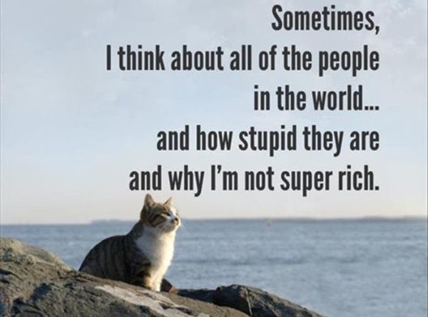Sometimes, I Think About All The People In The World... - Cat humor