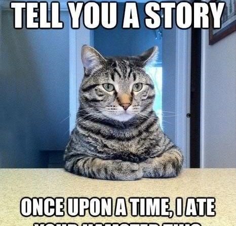 Let Me Tell You A Story - Cat humor